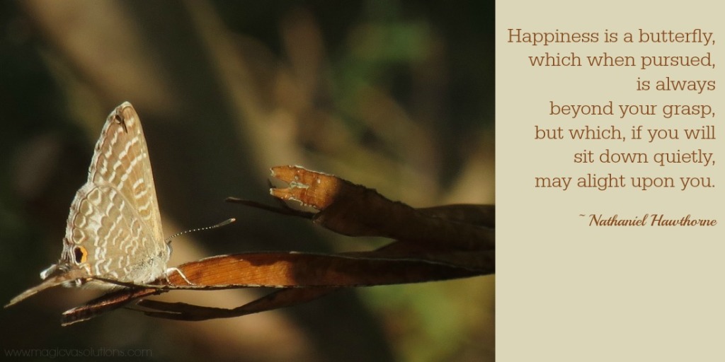 'Happiness is a butterfly...' quote from Nathanial Hawthorne