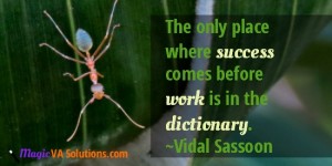 The only place where success comes before work is in the dictionary ~Vidal Sassoon