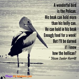 A wonderful bird is the Pelican. His beak can hold more than his belly can. He can hold in his beak enough food for a week! But I'll be darned if I know how the hellican? ~ Dixon Lanier Merritt