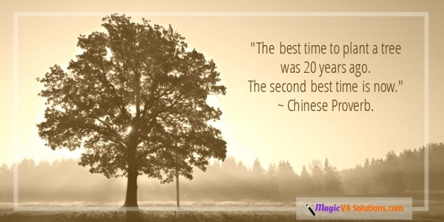 The best time to plant a tree was 20 years ago. The second best time is now. ~ Chinese Proverb